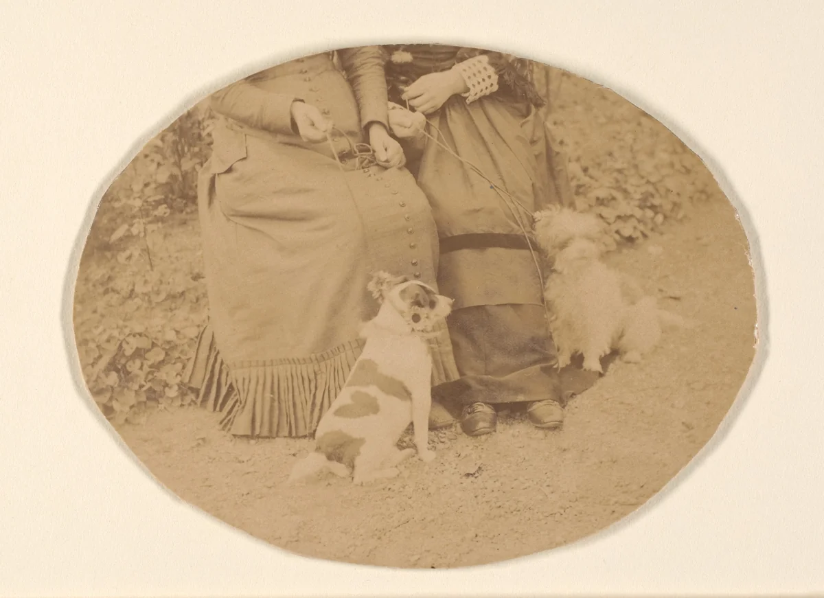 Les Chiens by Pierre-Louis Pierson, photograph, 1860-1869
