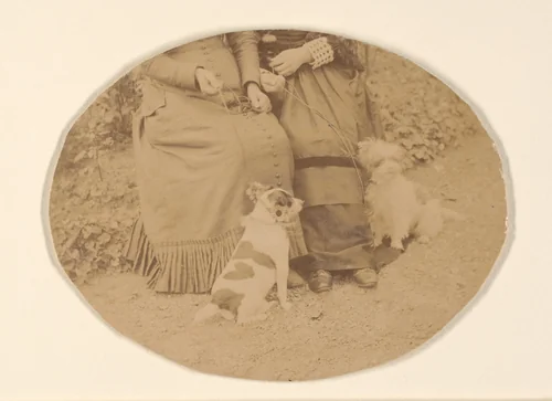 Les Chiens by Pierre-Louis Pierson, photograph, 1860-1869
