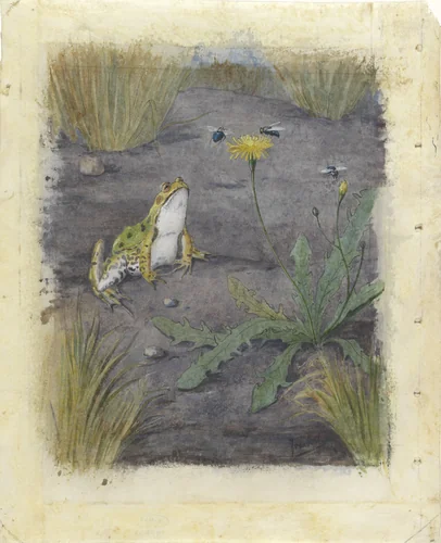Frog by a Dandelion with Flies by Jan van Oort, drawing, 1877-1938