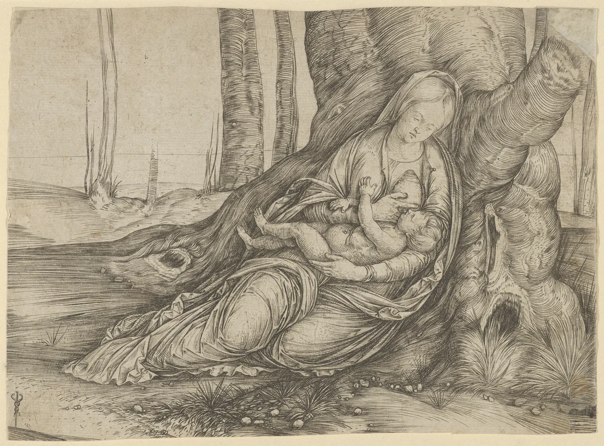 The Madonna nursing the Christ Child at the foot of a tree by Jacopo de' Barbari, print, 1496-1506