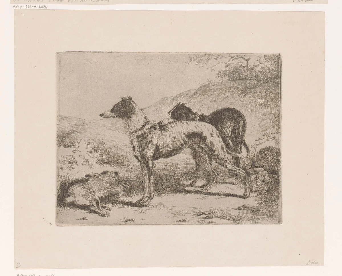 Twee hazewindhonden bij een dode haas by Joseph Moerenhout, print, 1811-1874