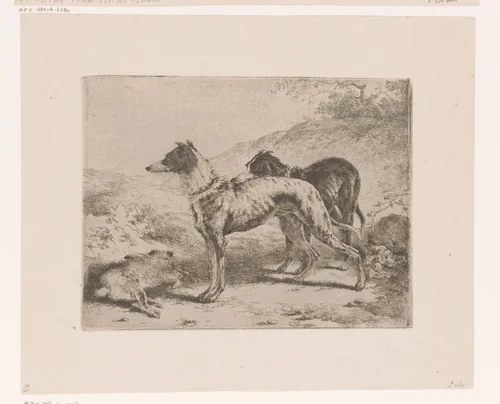 Twee hazewindhonden bij een dode haas by Joseph Moerenhout, print, 1811-1874