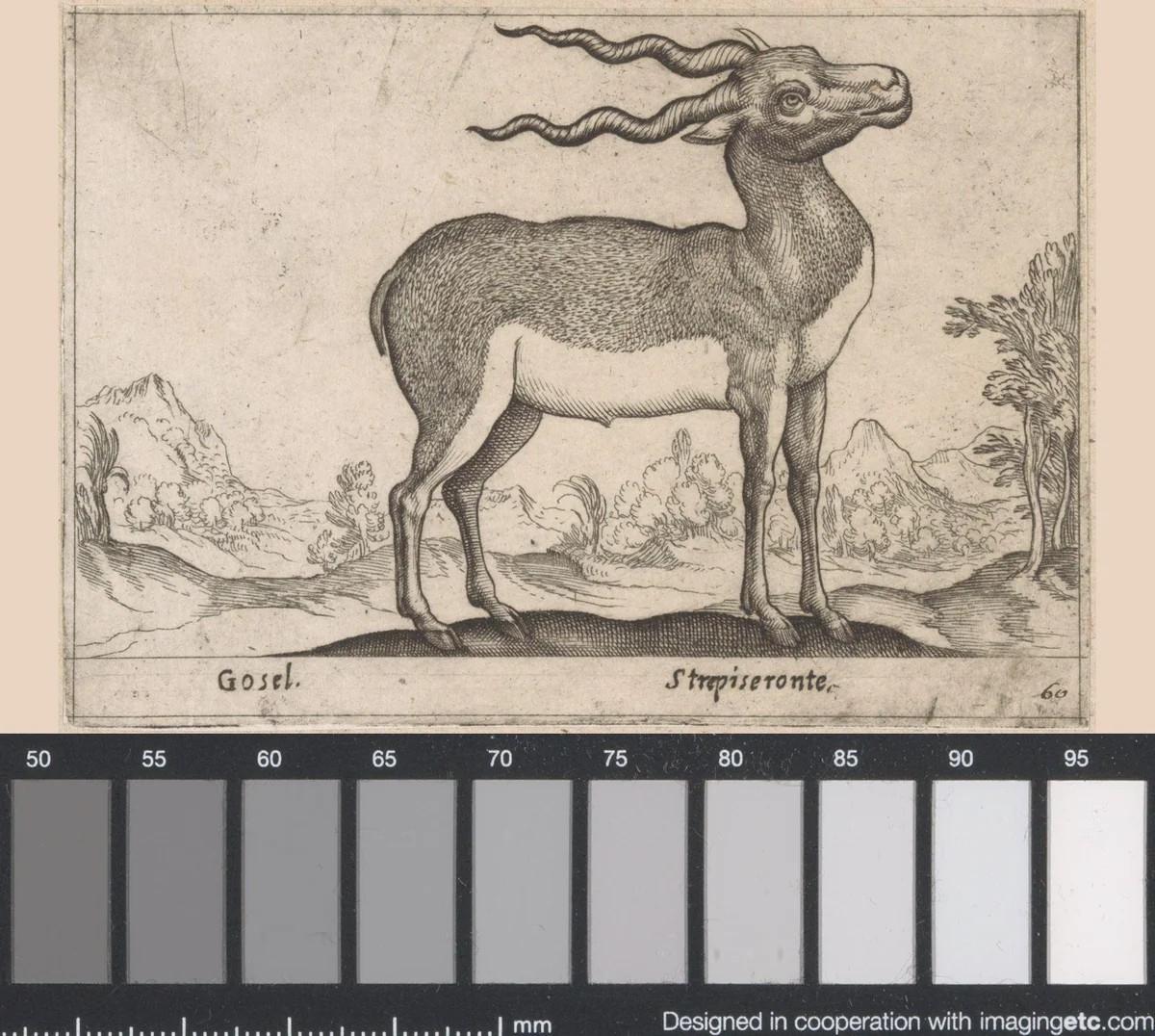 Antilope by Antonio Tempesta, print, 1565-1630