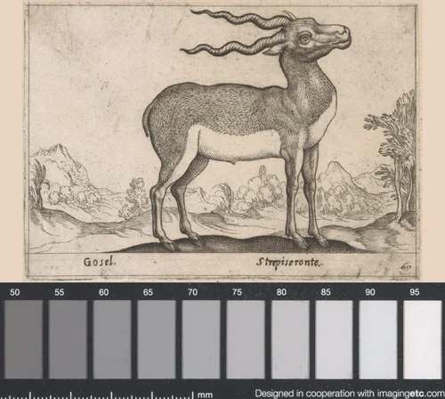 Antilope by Antonio Tempesta, print, 1565-1630