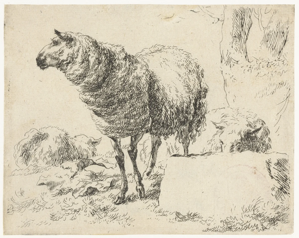 Drie schapen by Nicolaes Pietersz Berchem, print, 1648-1652