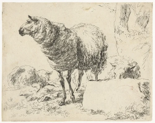 Drie schapen by Nicolaes Pietersz Berchem, print, 1648-1652