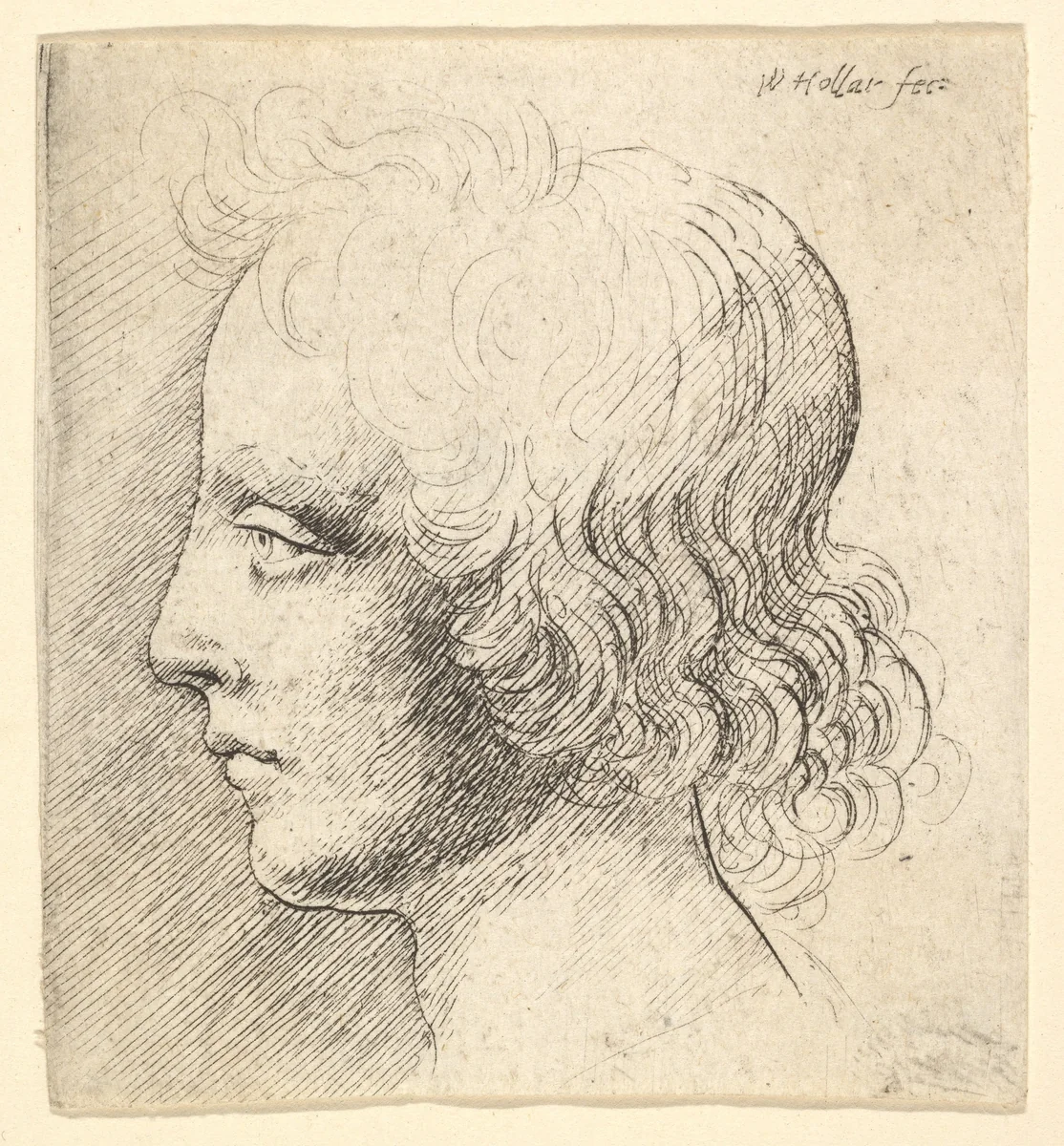 Head of Young Man by Wenceslaus Hollar, print, 1644-1652