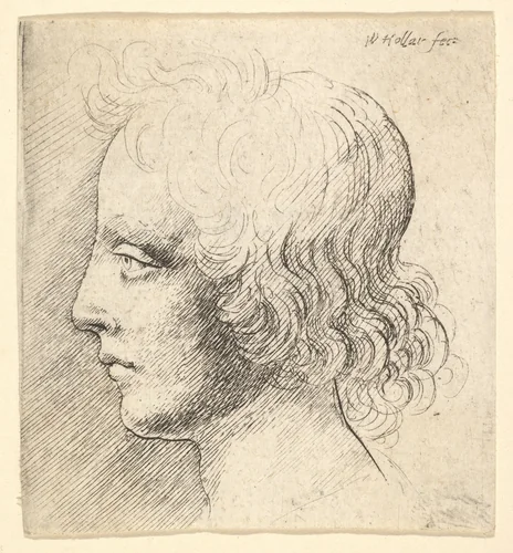 Head of Young Man by Wenceslaus Hollar, print, 1644-1652