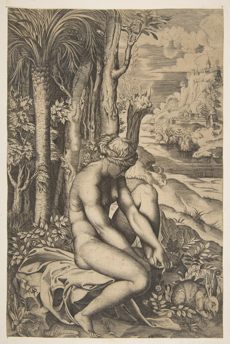 Venus removing a thorn from her left foot while seated on a cloth beside trees and foliage, a hare eating grass before her by Marco Dente, print, 1510-1532