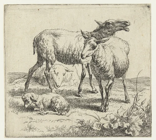 Blatend schaap tussen twee schapen en een lam by Nicolaes Pietersz Berchem, print, 1646-1652