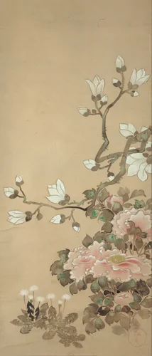 Peonies, Magnolia, and Dandelions by School of Tawaraya Sôtatsu, other