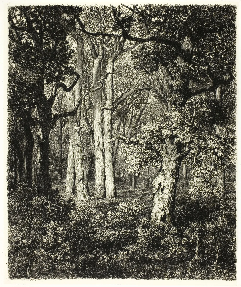 Old Oaks at Bas Bréau by Adolphe Martial Potémont, print, 1860-1870