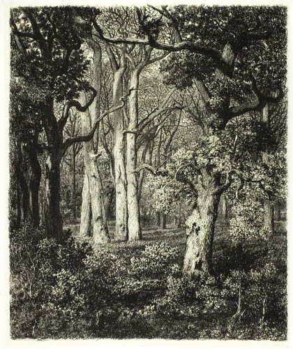Old Oaks at Bas Bréau by Adolphe Martial Potémont, print, 1860-1870