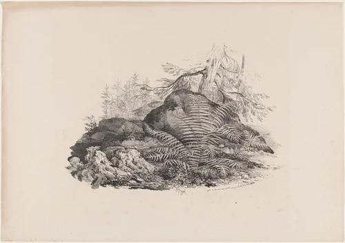 Hilly Forest View with a Fern by Carl August Lebschée; Johannes M. von Hermann, print, 1829