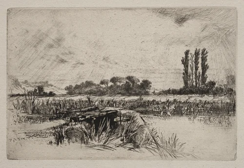A Water Meadow by Francis Seymour-Haden, print, 1859