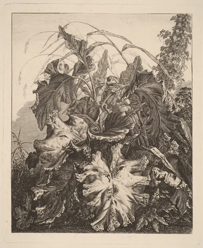 Foliage with Reeds by Carl Wilhelm Kolbe, print, 1805-1815