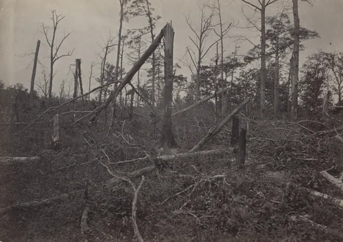 The "Hell Hole," New Hope Church, Georiga from the album Photographic Views of Sherman's Campaign by George N. Barnard, photograph, 1864