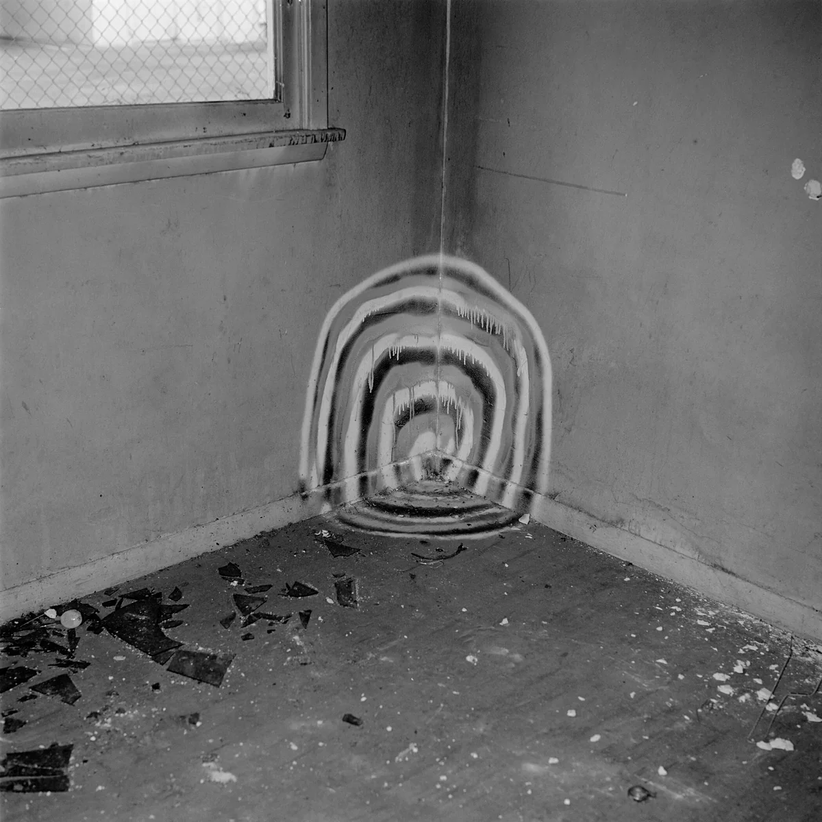 74V17 by John Divola, photograph, 1973-1975