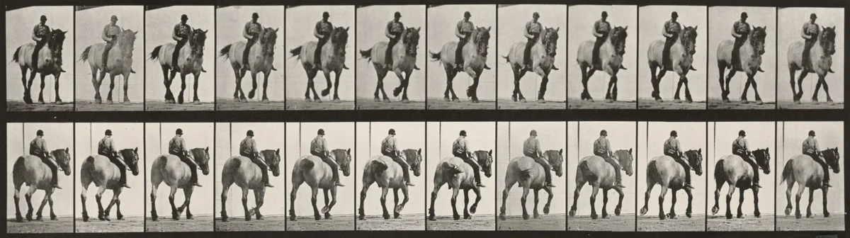 Plate Number 578. "Dusel" walking, bareback by Eadweard Muybridge, photograph, 1887