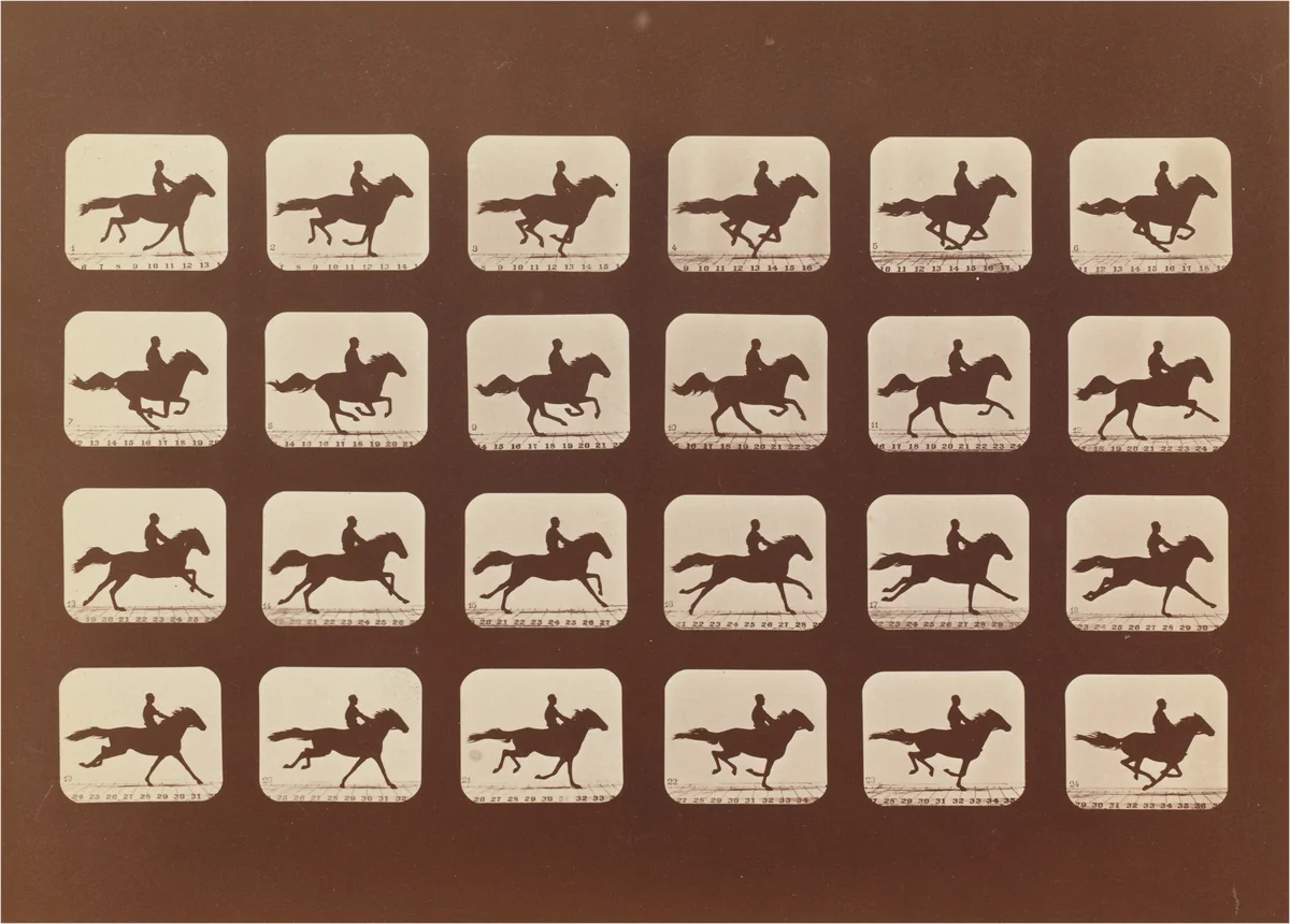 Horses. Running. Phyrne L. No. 40 by Eadweard Muybridge, photograph, 1879