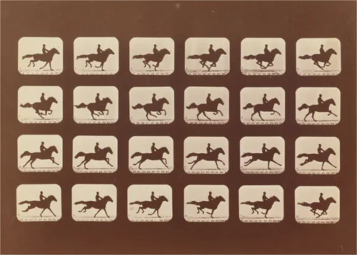 Horses. Running. Phyrne L. No. 40 by Eadweard Muybridge, photograph, 1879