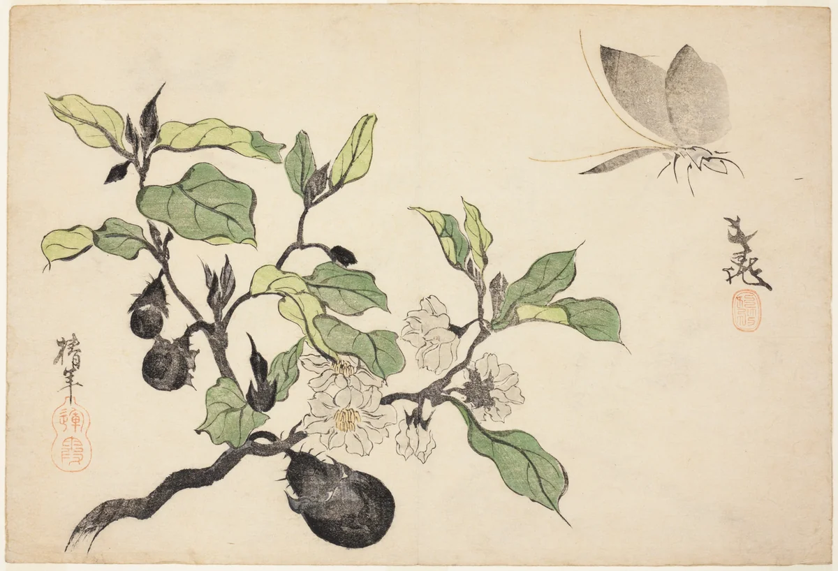 Eggplant with fruit and flowers by Ônishi Chinnen, print, 1829