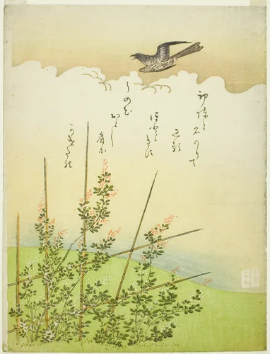 Cuckoo flying over deutzia flowers by Komatsuya Hyakki, print, 1761-1771