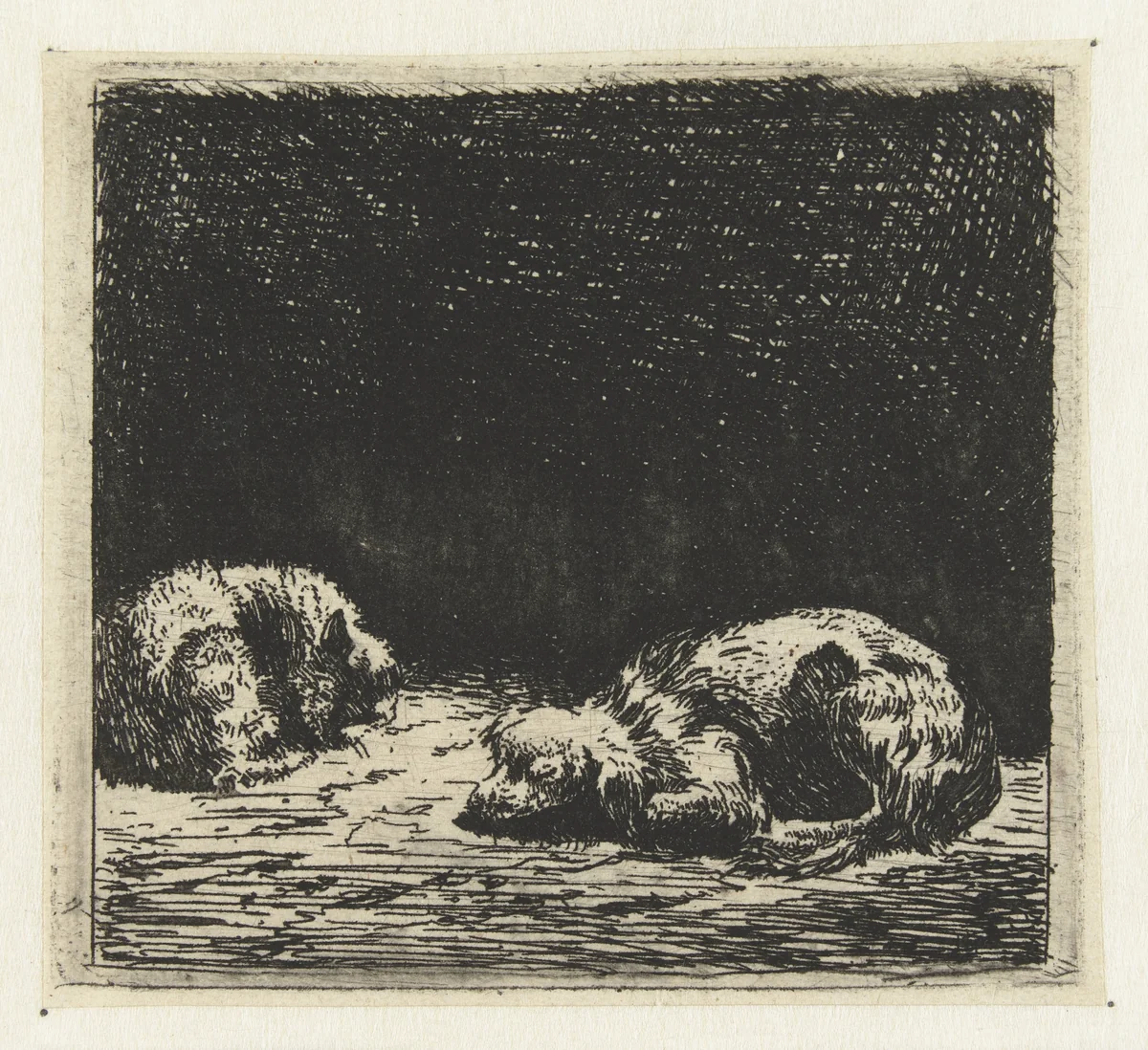 Slapende hond en kat by Karel du Jardin, print, 1652-1659