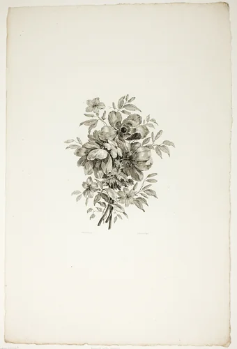 Bouquet with Poppies, from Collection of Different Bouquets of Flowers, Invented and Drawn by Jean Pillement and Engraved by P. C. Canot by Jean Baptiste Pillement, print, 1760