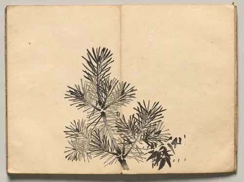 Young Pine from Ōkyo Picture Book by Maruyama Ōkyo (円山応挙), book, 1850