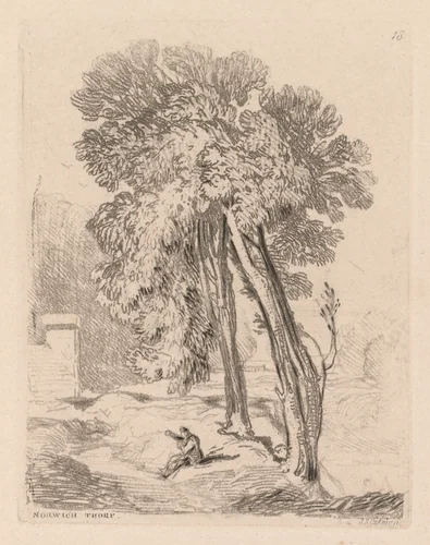 Liber Studiorum: Plate 18, Trees at Norwich Thorp, Norfolk by John Sell Cotman, book, 1838