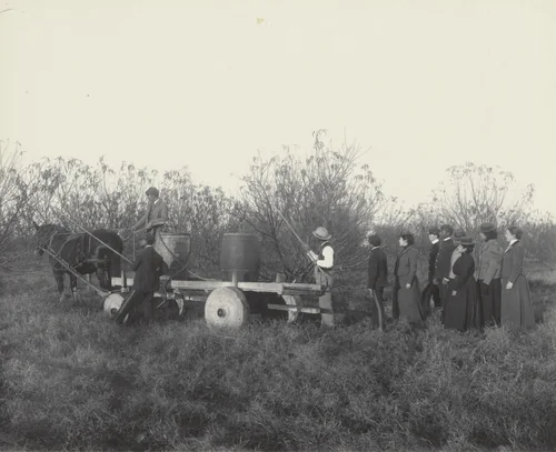 Agriculture. Spraying the orchard by Frances Benjamin Johnston, photograph, 1899