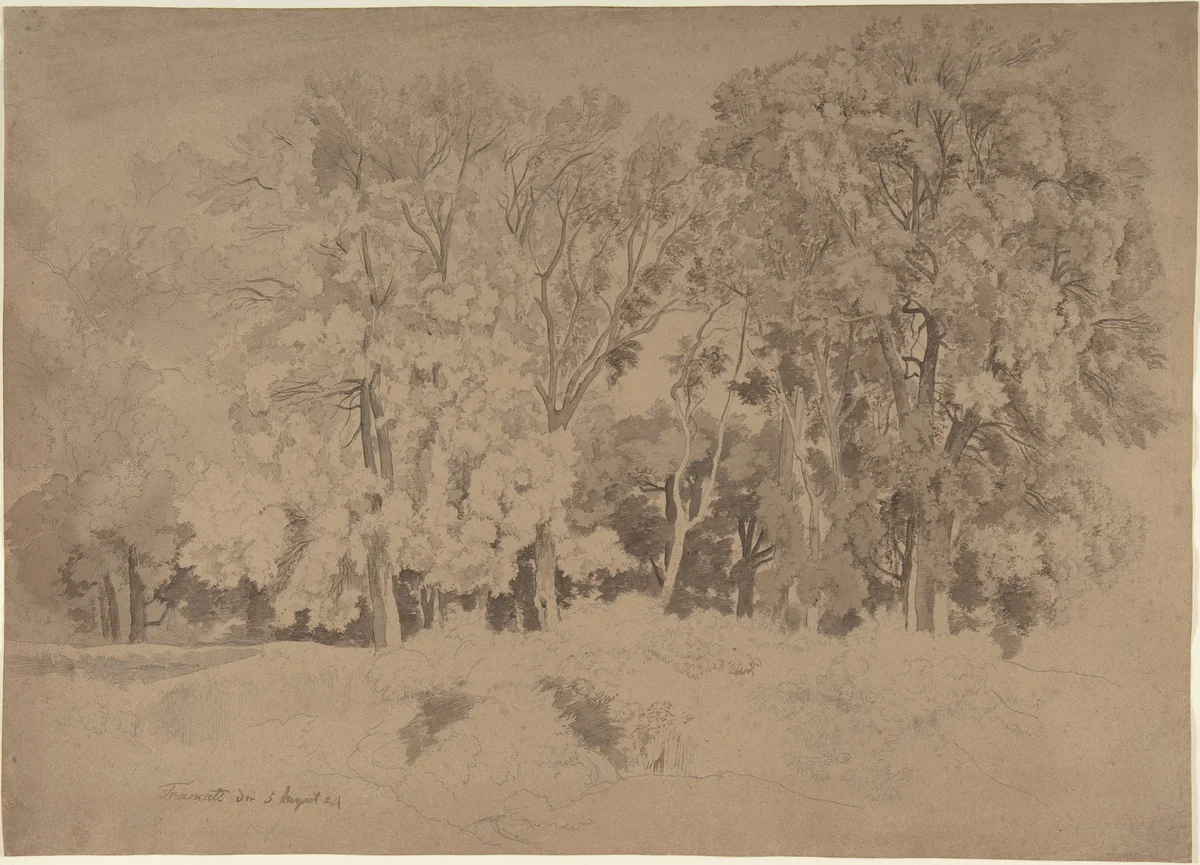 Edge of a Wood near Frascati by Ernst Fries, drawing, 1824