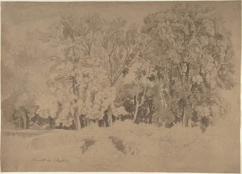 Edge of a Wood near Frascati by Ernst Fries, drawing, 1824