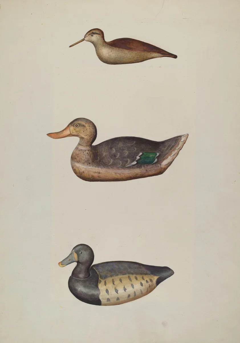 Three Decoy Ducks by Harriette Gale, index of american design, 1937
