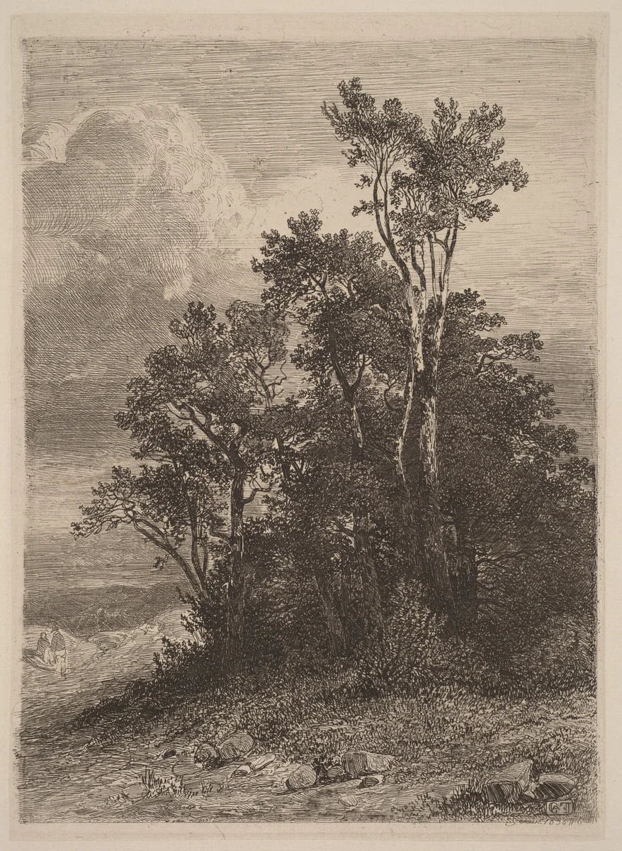 Grove of Trees by Alexandre Calame, portfolio, 1838-1850