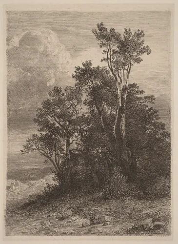 Grove of Trees by Alexandre Calame, portfolio, 1838-1850