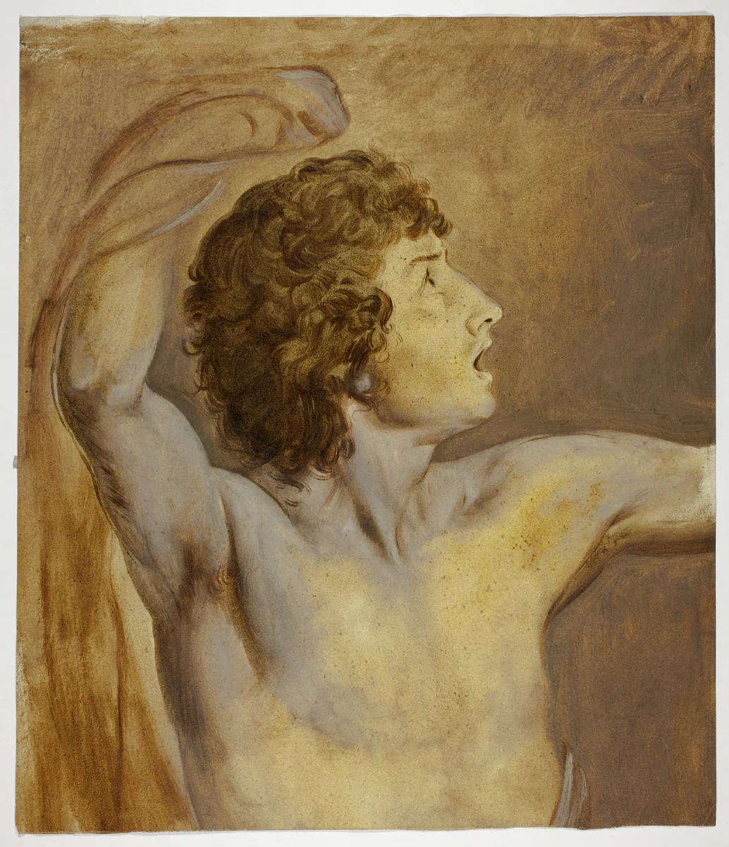 Study after Nature by John Downman, drawing, 1774-1824