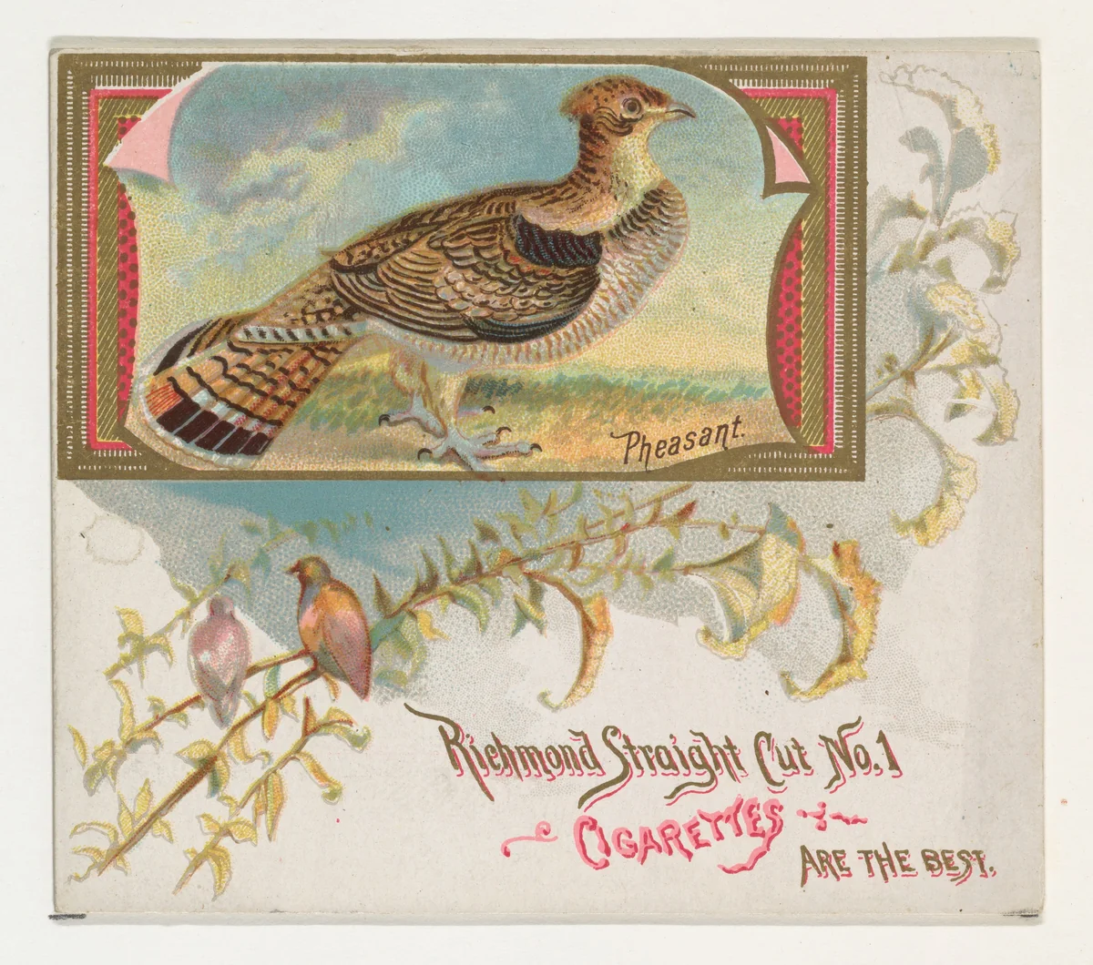 Pheasant, from the Game Birds series (N40) for Allen & Ginter Cigarettes by Allen & Ginter, print, 1888-1890