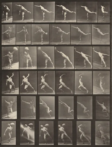 Plate Number 523. A: Striking a blow. B, E: Throwing a disk. C, F: Heaving a 75-lb. stone. D: Throwing a ball by Eadweard Muybridge, photograph, 1887