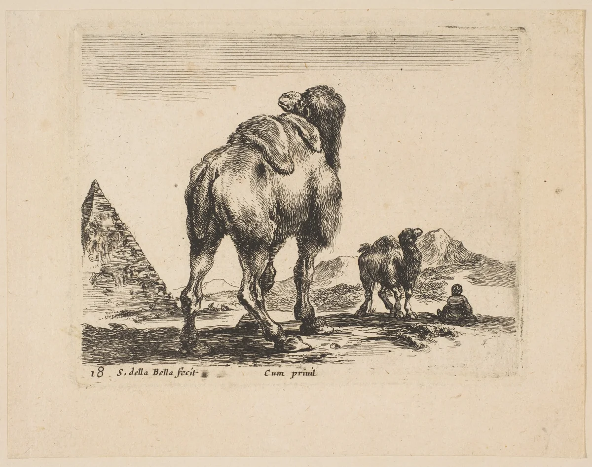 Plate 18: camel viewed from behind with pyramid at left, from 'Various animals' (Diversi animali) by Stefano della Bella, print, 1636-1646