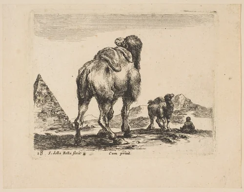 Plate 18: camel viewed from behind with pyramid at left, from 'Various animals' (Diversi animali) by Stefano della Bella, print, 1636-1646