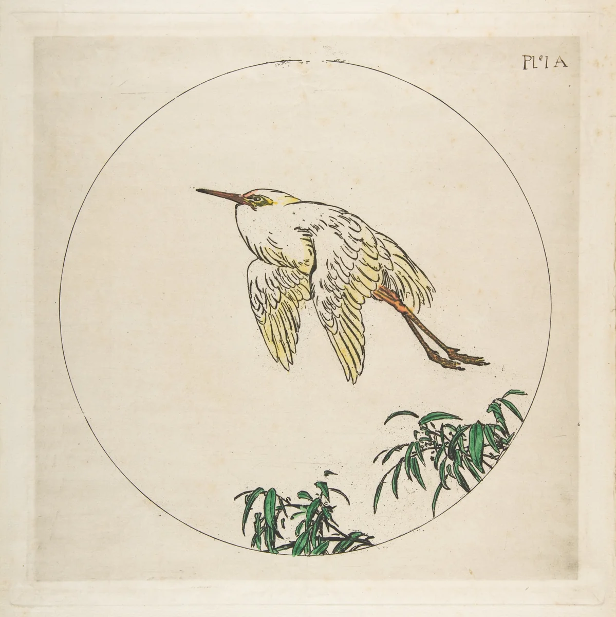 Decoration for a Plate: An Egret Flying Above Bamboo Branches by Félix Bracquemond, print, 1850-1914