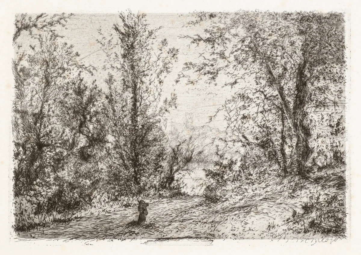 Forest on Lago Maggiore [Foresta sul Lago Maggiore] by Giberto Borromeo, print, 1870