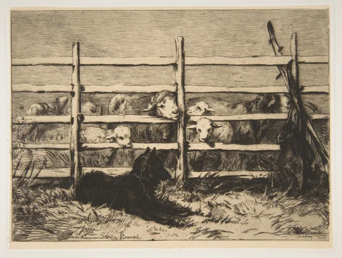 Moutons parqués by Félix Bracquemond, print, 1856-1858