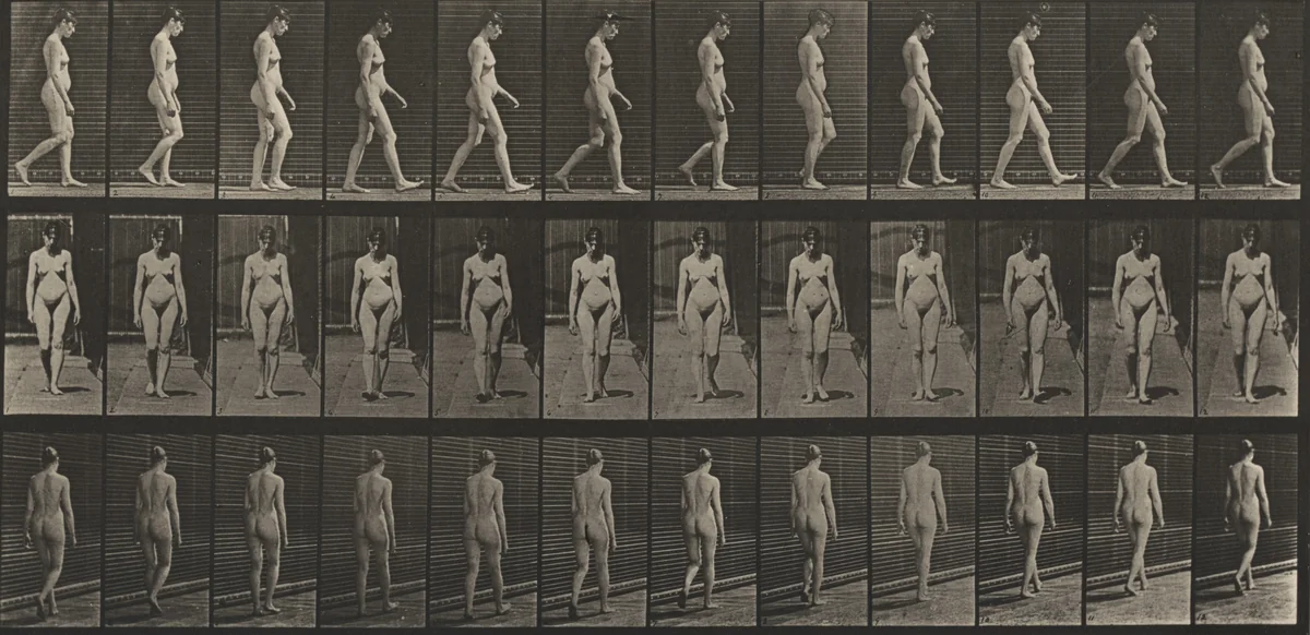 Plate Number 13. Walking by Eadweard Muybridge, photograph, 1887