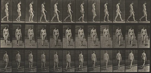 Plate Number 13. Walking by Eadweard Muybridge, photograph, 1887