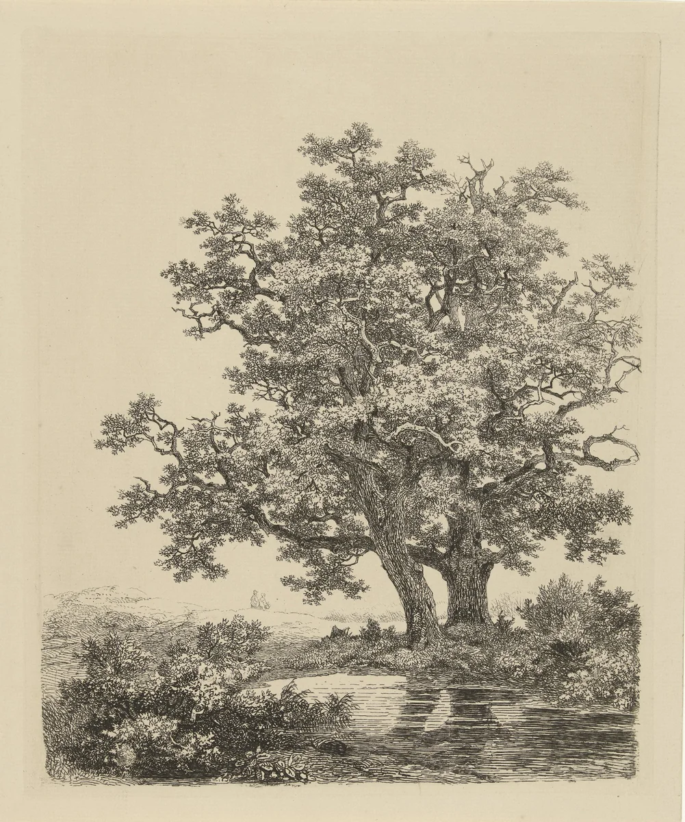 Twee eiken aan een meertje by Remigius Adrianus Haanen, print, 1850