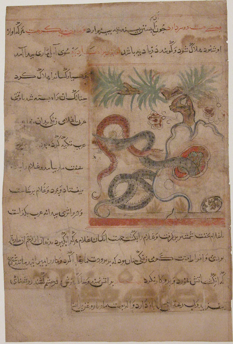 "Pair of Serpents", Folio from a Manafi' al-Hayawan (On the Usefulness of Animals) of Ibn Bakhtishu' by Ibn Bakhtishu', manuscript, 1272-1324