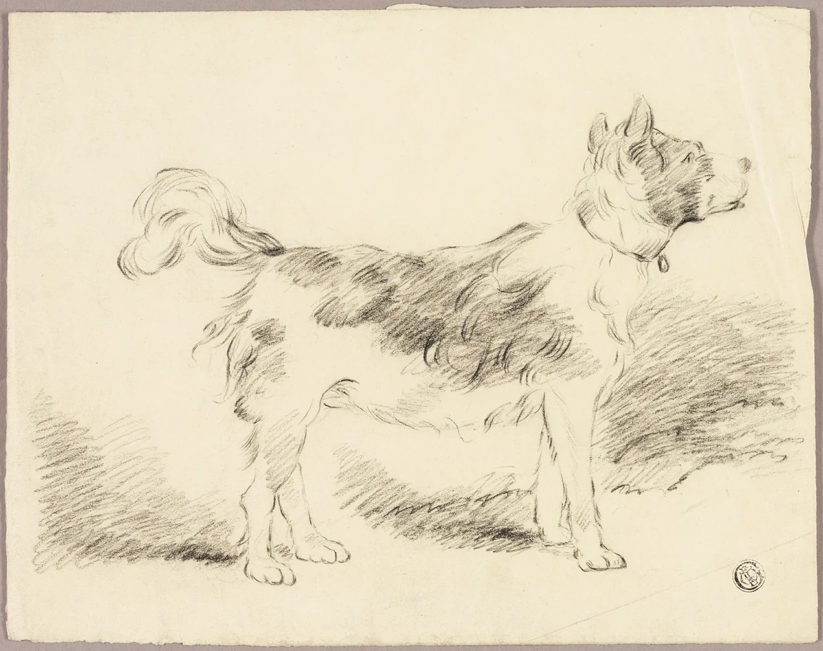Shepherd Dog by George Morland, drawing, 1783-1804